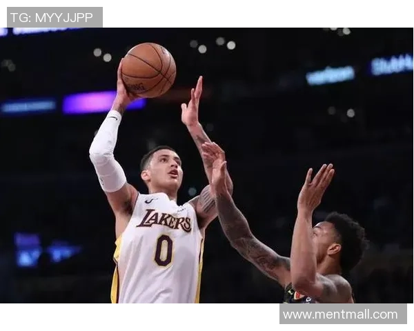 国王队与老鹰队历史交锋记录分析及战绩回顾